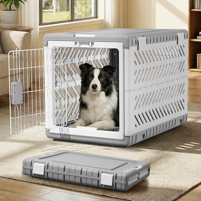 Pet travel crate.