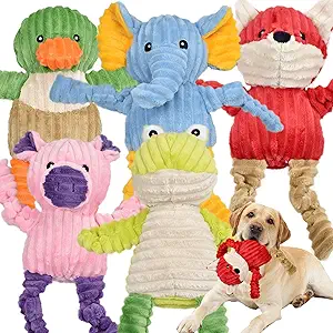 Pet squeaky toy